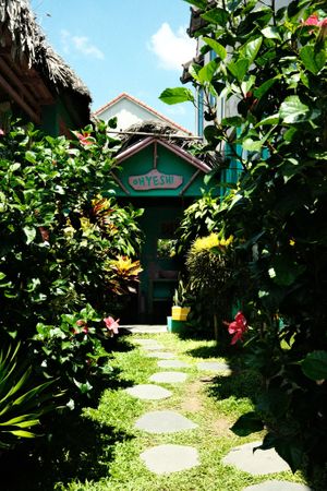  at YESH! Tribe in Hoi An