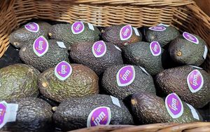  at Gripinsky Vaisiai Ir Daržovės Kitaip in Papiskes