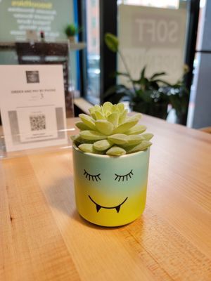 Peaceful atmosphere for a meal. at Ramen O'Bowl in Cambridge