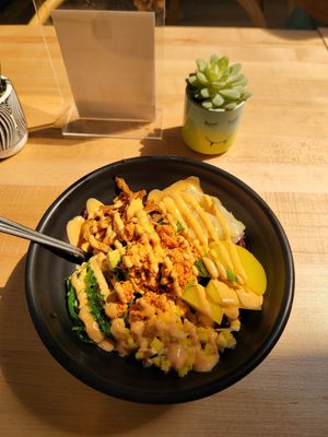 Excellent presentation - Spicy Soy Bowl. at Ramen O'Bowl in Cambridge