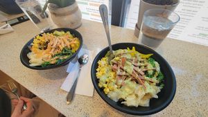 Seiten and protein black rice bowls at Ramen O'Bowl in Cambridge
