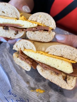 Bacon egg and cheese sun dried tomato bagel  at Shmagel's Bagels in Ocean City