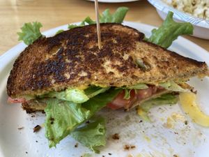 Half of my grilled chick in sandwich  at Little Lads in Corinth