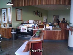 Inside at Nekter Juice Bar in Santa Monica