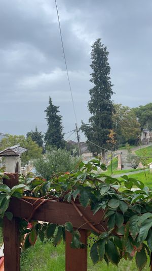   at Corner Of Bazaar in Gjirokaster