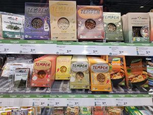 Tempeh at Denns BioMarkt in Koblenz