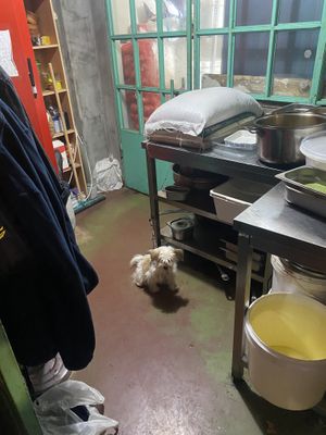 Kitchen staff  at Leylak Cafe in Istanbul