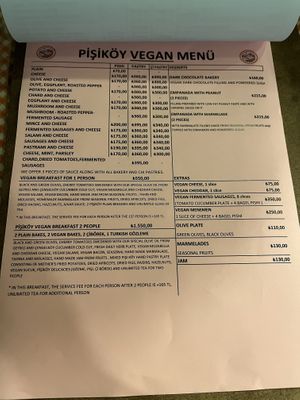 Vegan menu  at Leylak Cafe in Istanbul