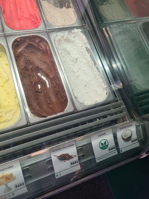 Vegan options at IJs & Spijssalon Baks in Woudrichem