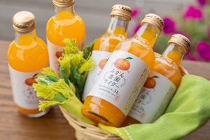 Mikan Cider at Kannonyama Fruits Parlour Kinokawa - 観音山フルーツパーラー紀の川 in Wakayama
