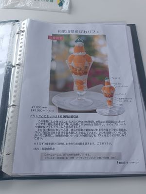  at Kannonyama Fruits Parlour Kinokawa - 観音山フルーツパーラー紀の川 in Wakayama