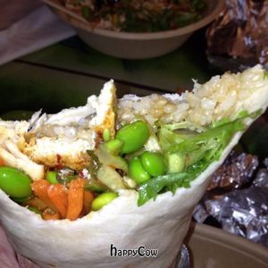 spicy tofu burrito at Mixing Bowl in Mc Lean