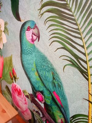  at Green M'ama in Naples