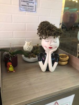  at Green M'ama in Naples