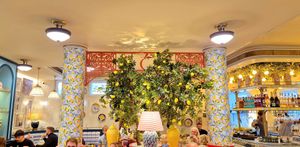  at Café Caprista in Cologne