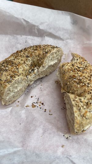 Cashmear   at Nate's Bagels in Richmond