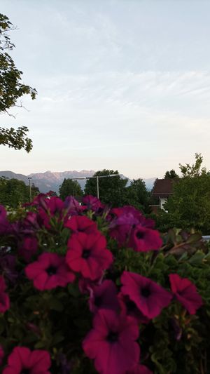  at NAMASTE Indisches Restaurant in Murnau