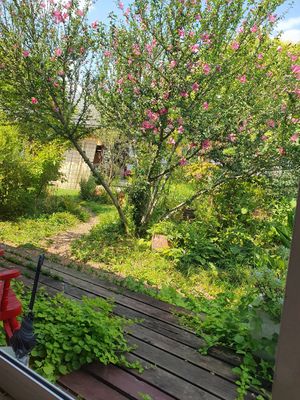  at Maino Cafe in Takasaki