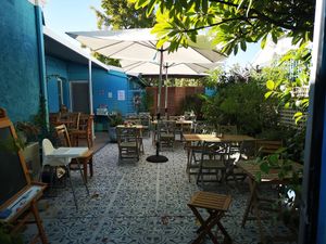 Garden at Nourish Me Wholefoods in East Fremantle