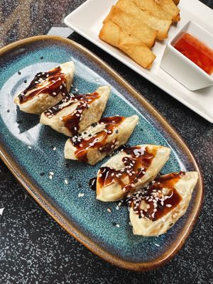 Vegi Gyoza & Vegi Spring Rolls  at Koi Sushi&Asia in Bad Sackingen