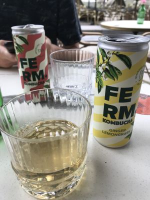 kombucha  at OhMA Gent in Ghent