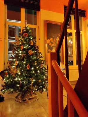 Déco de Noël at OhMA Gent in Ghent