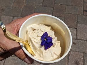 Ice cream at VegHeaven in Washington