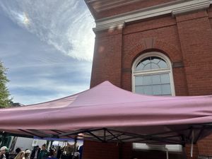 Look for the pink tent!!  at VegHeaven in Washington