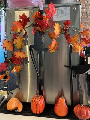   at Brunch Box in Springfield