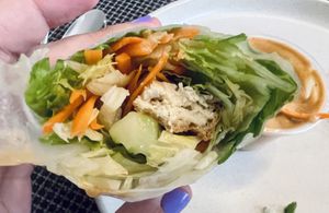 Delicious spring rolls  at Tuk Tuk Thai in Tucson
