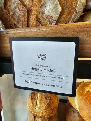 Hogaza madre at Hogaza Hogaza in Ensenada