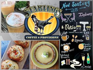 starlingswv.com at Starlings Coffee & Provisions in Charleston