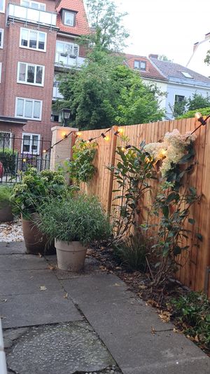  at ÆNDRÈ - Schlüterstraße in Hamburg