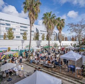  at Lisbon Vegan Market / Oeiras Vegan Market in Lisbon