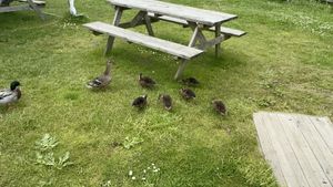   at The Dores Inn in Inverness