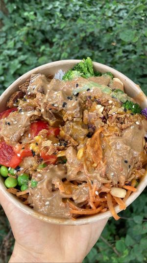 peanut chicken bowl (chicken replaced with tofu): great taste, especially the peanut sauce & curry mango sauce combo. They don’t skimp on the toppings!  at Simply Bowl - Pick-Up & Delivery  in Kassel