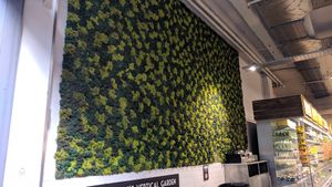Lichen wall at Planet Organic - Torrington Place in London