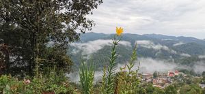  at Karma Cocina in San Mateo Rio Hondo