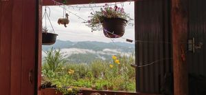  at Karma Cocina in San Mateo Rio Hondo