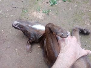  at Karma Cocina in San Mateo Rio Hondo