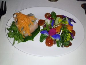 spring rolls and salad at L'Elephant Vert in Luang Prabang