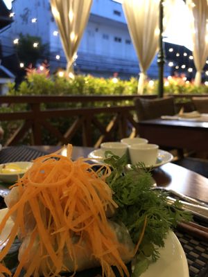 Fresh spring rolls at L'Elephant Vert in Luang Prabang