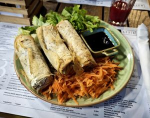 Crispy rolls with a red cabbage and mushroom filling on a bed of herbed millet at Za Druga in Belgrade