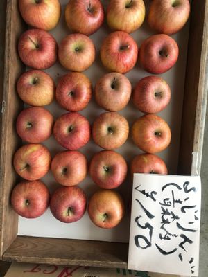  at Kakashi An in Takayama