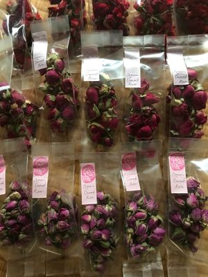  at Kakashi An in Takayama