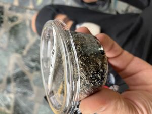 black sesame somthing   at Ben Zai Ten in Nara