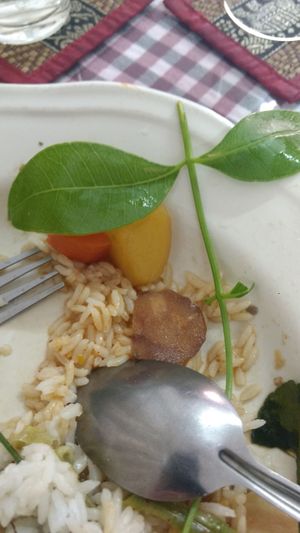 interesting and tasty leaves from the owner's garden....they go well with the laarb at Han Ahaan J in Vientiane