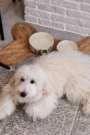  at Wild Bowls - Seefeldstrasse in Zurich