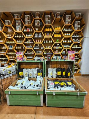  at CasaBIO in Cluj-napoca