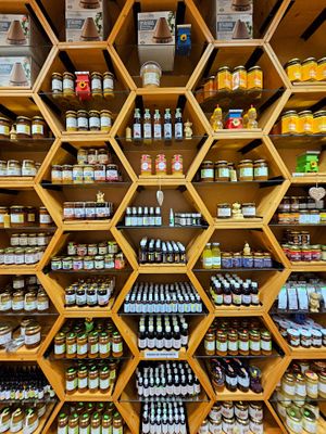  at CasaBIO in Cluj-napoca